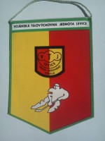 /album/levice2/levice-vtj-19-jpg1/